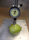 Inspection Photo Inspection Photo